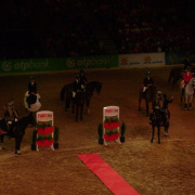 2_a_lovas_vilagkupa_2012_11_30_034.jpg