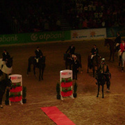 2_a_lovas_vilagkupa_2012_11_30_035.jpg