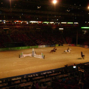 2_a_lovas_vilagkupa_2012_11_30_055.jpg