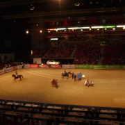 2_a_lovas_vilagkupa_2012_11_30_056.jpg