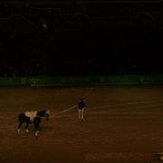 2_a_lovas_vilagkupa_2012_11_30_057.jpg