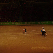 2_a_lovas_vilagkupa_2012_11_30_058.jpg