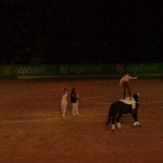 2_a_lovas_vilagkupa_2012_11_30_060.jpg