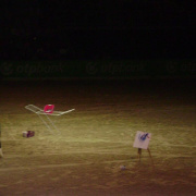 2_a_lovas_vilagkupa_2012_11_30_061.jpg