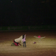2_a_lovas_vilagkupa_2012_11_30_063.jpg