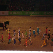 2_a_lovas_vilagkupa_2012_11_30_065.jpg