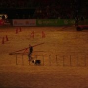 2_a_lovas_vilagkupa_2012_11_30_068.jpg
