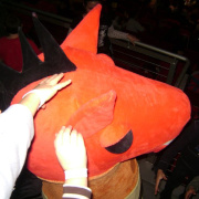 2_a_lovas_vilagkupa_2012_11_30_070.jpg