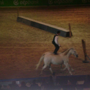 2_a_lovas_vilagkupa_2012_11_30_074.jpg