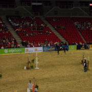 2_a_lovas_vilagkupa_2012_11_30_096.jpg