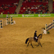 2_a_lovas_vilagkupa_2012_11_30_097.jpg