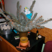 2_a_betlehemes_az _osztalyban_2012_12_20_007.jpg