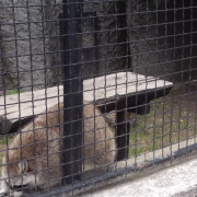 2_a_osztalykirandulas_2013_06_04_052.jpg