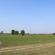 3_a_csaladinap_2013_09_01_011.jpg