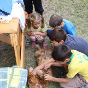 3_a_csaladinap_2013_09_01_077.jpg