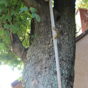 3_a_csaladinap_2013_09_01_092.jpg