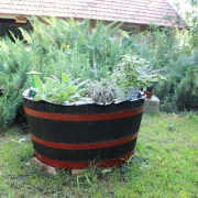 3_a_csaladinap_2013_09_01_094.jpg